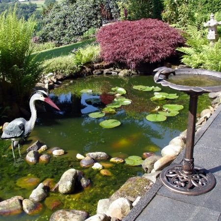 Lacul artificial din gradina 